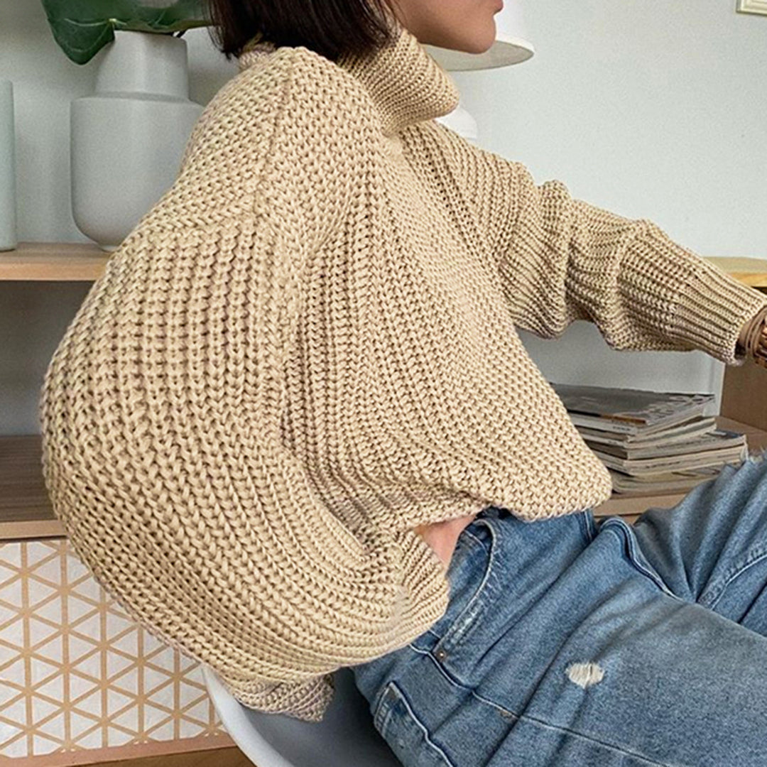 Women's Jacket New Fashion High Neck Pullover Sweater Women