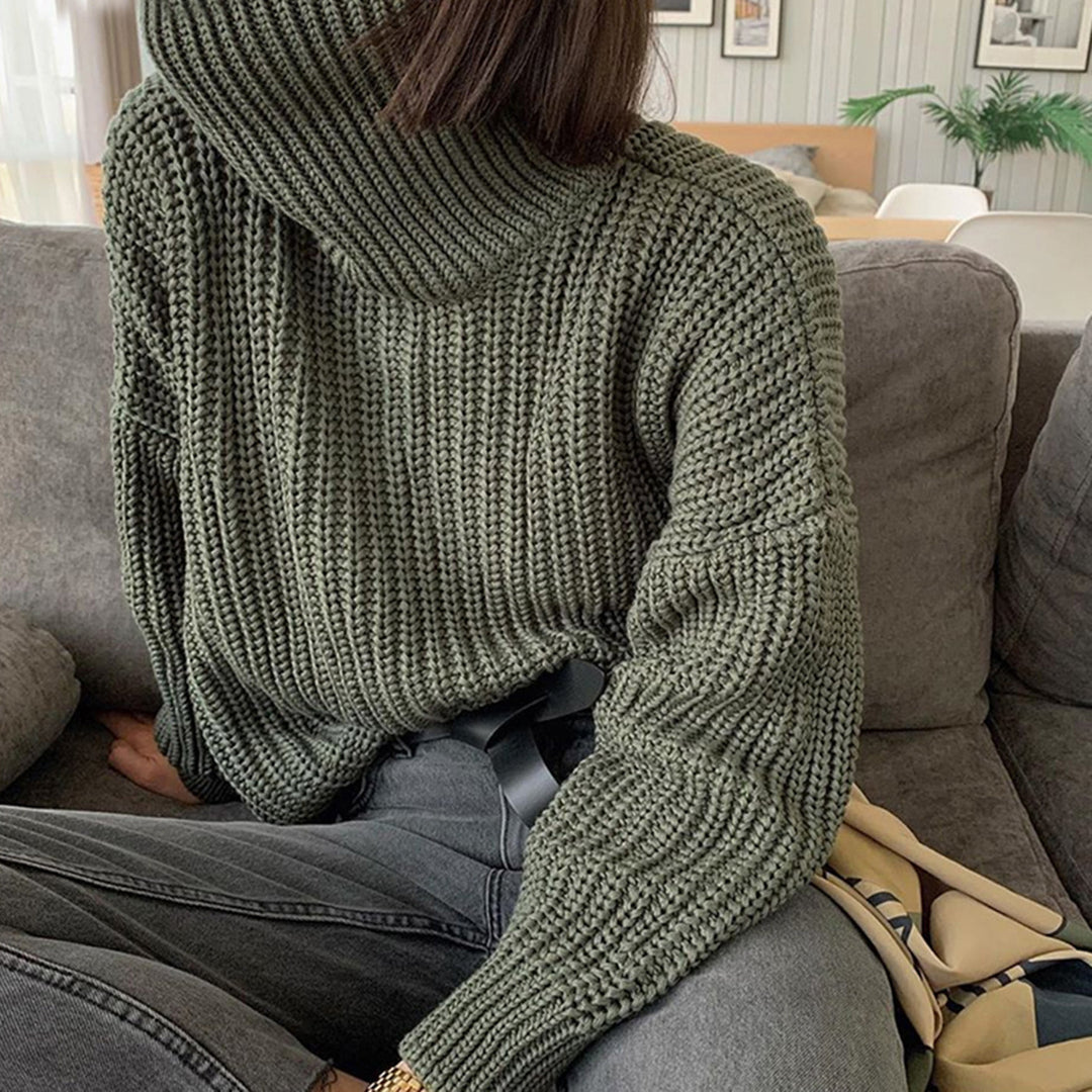 Women's Jacket New Fashion High Neck Pullover Sweater Women